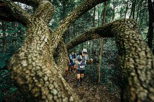 BIB: 
                            <button type="button" onclick="openModal(25393131)" class="btn btn-primary btn-sm float-right btn-popup" data-toggle="modal" data-target=".modal-high-quality">
                        <i class="fas fa-shopping-cart"></i> Add to Cart
                    </button>
                                            <button type="button" onclick="isThisMe(25393131, true)" class="btn btn-success btn-sm float-right btn-popup btn-isme hidden" data-toggle="tooltip" data-placement="bottom" title="นี่คือรูปของคุณใช่ไหม คลิกที่นี่เพื่อเอาเข้าอัลบั้ม">
                        <i class="fas fa-plus"></i> Add to album
                    </button>
                    <button type="button" onclick="isThisMe(25393131, false)" class="btn btn-warning btn-sm float-right btn-popup btn-isnotme hidden">
                        <i class="fas fa-ban"></i> Remove from album
                    </button>